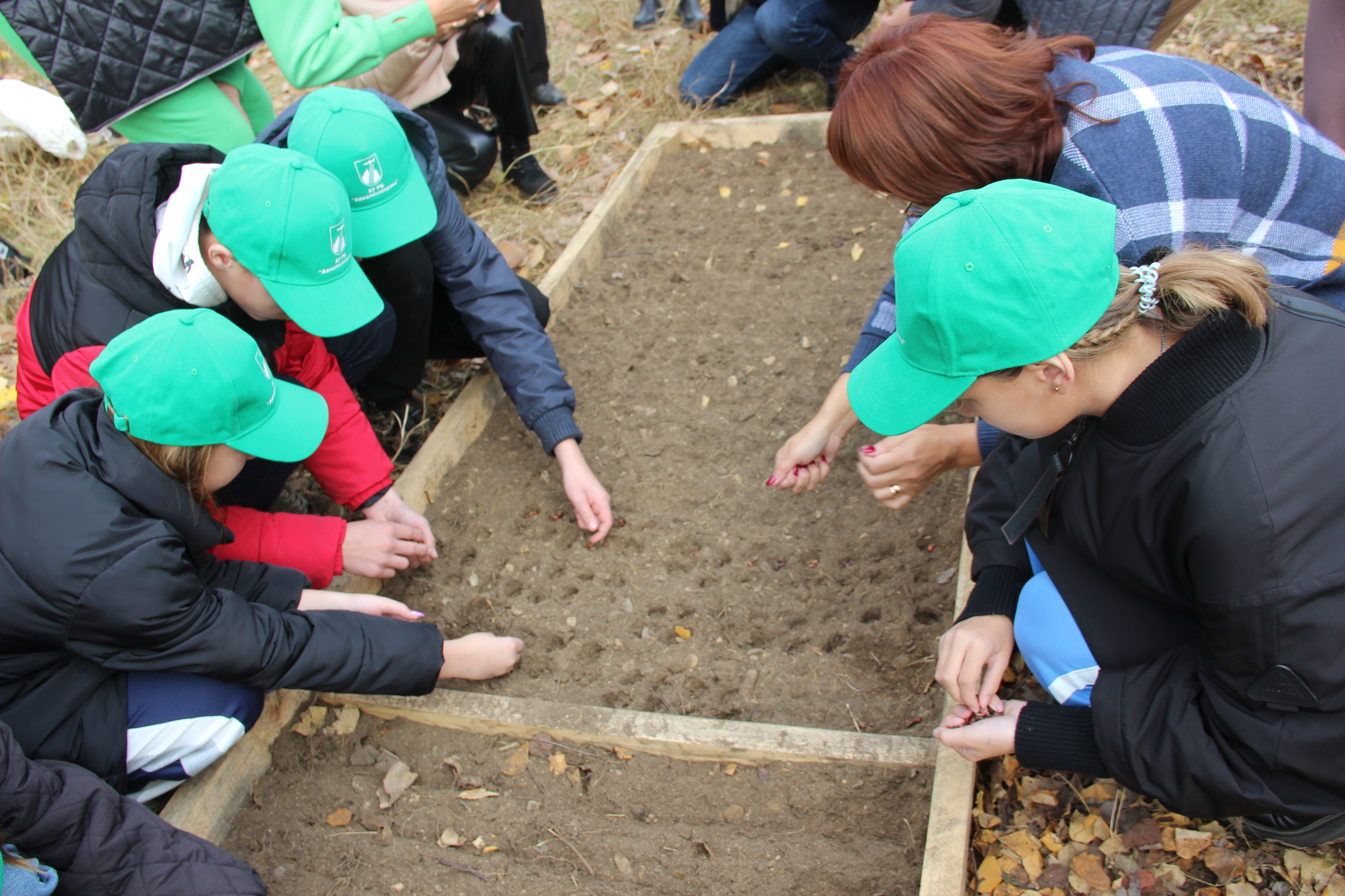 Учащиеся 7А класса  посадили семена кедров.